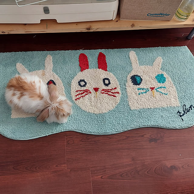 mimoさんの実例写真