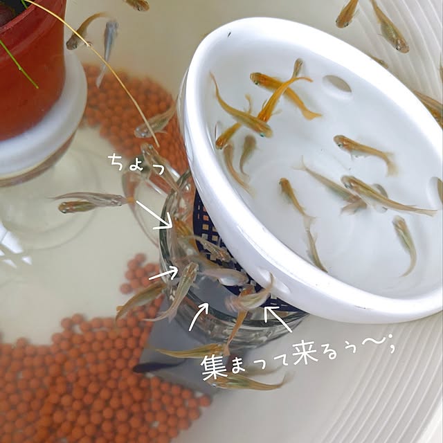 mi-saさんの実例写真