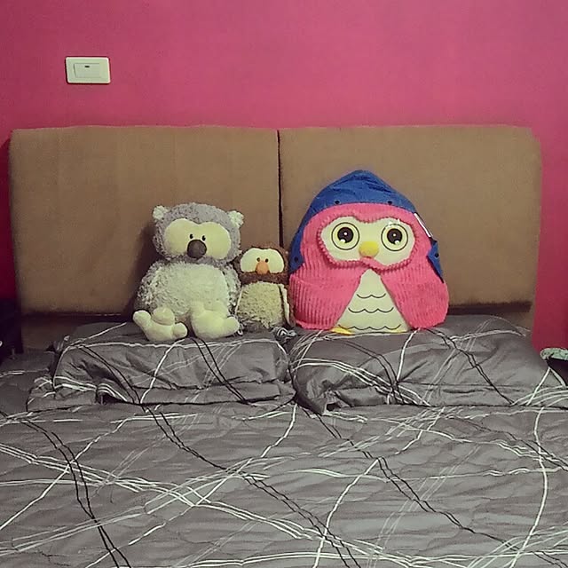 ramy1105さんの実例写真