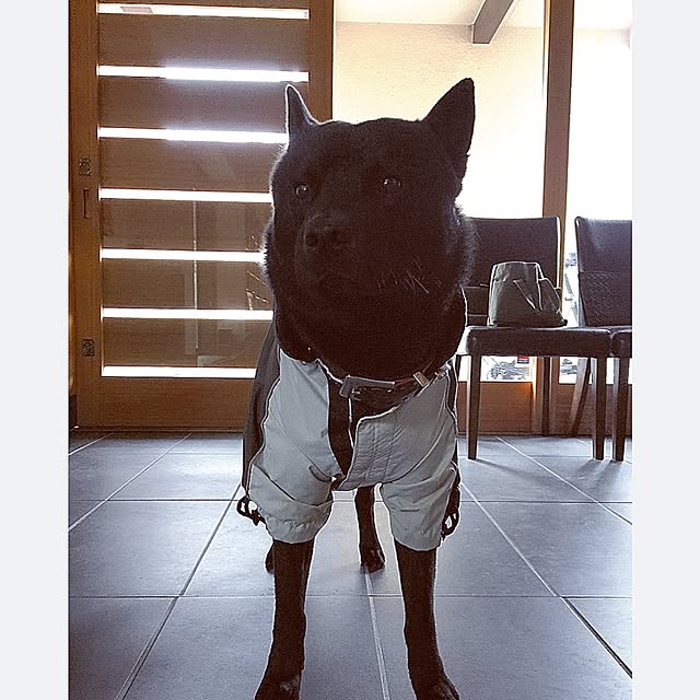 rikorikoさんの実例写真