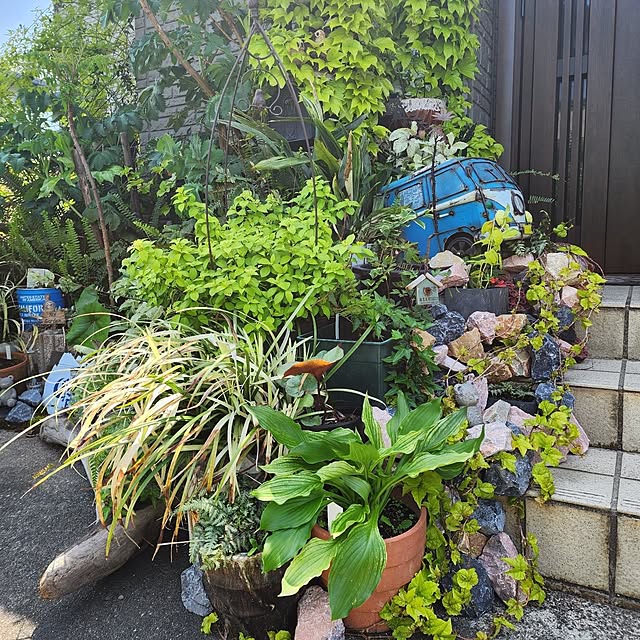 GreenHomeさんの部屋