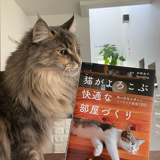 mayumiさんの実例写真