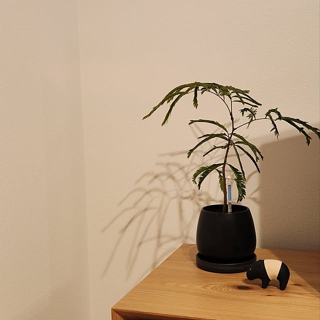 gon_hausさんの部屋