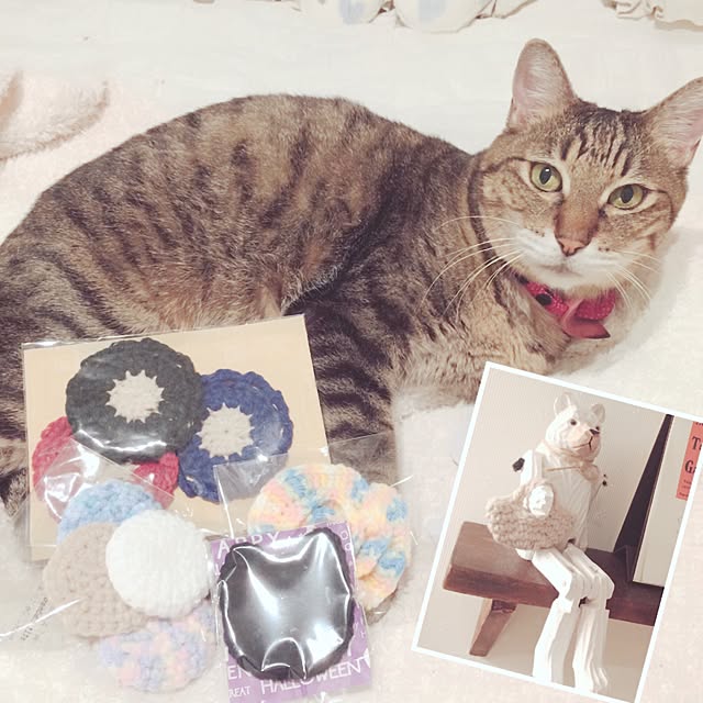 lovecatさんの実例写真