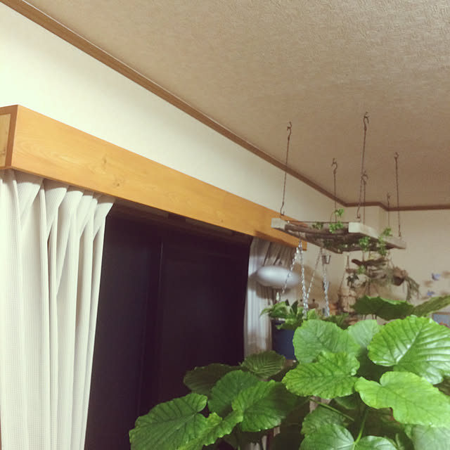 yukaさんの実例写真