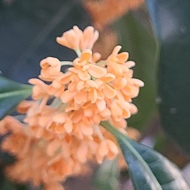 Rubiconさんの部屋