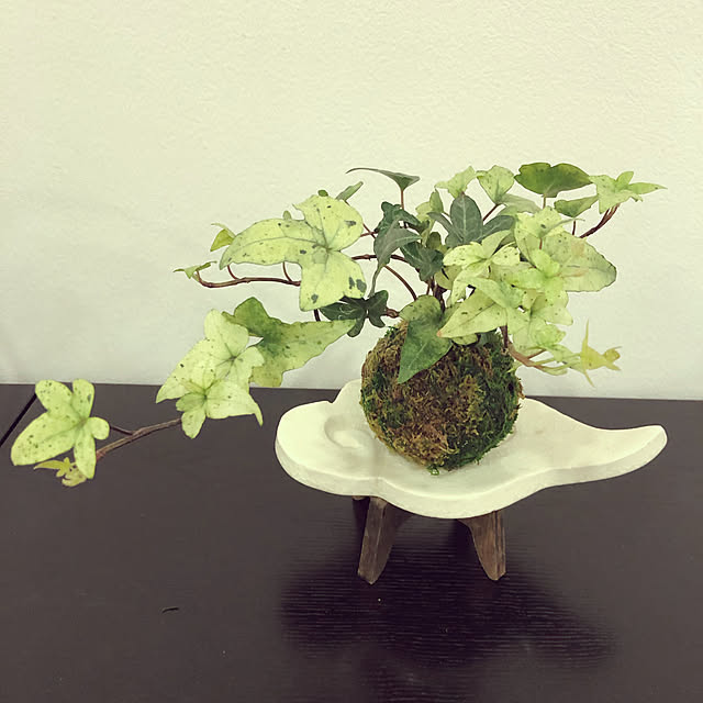 mintさんの実例写真