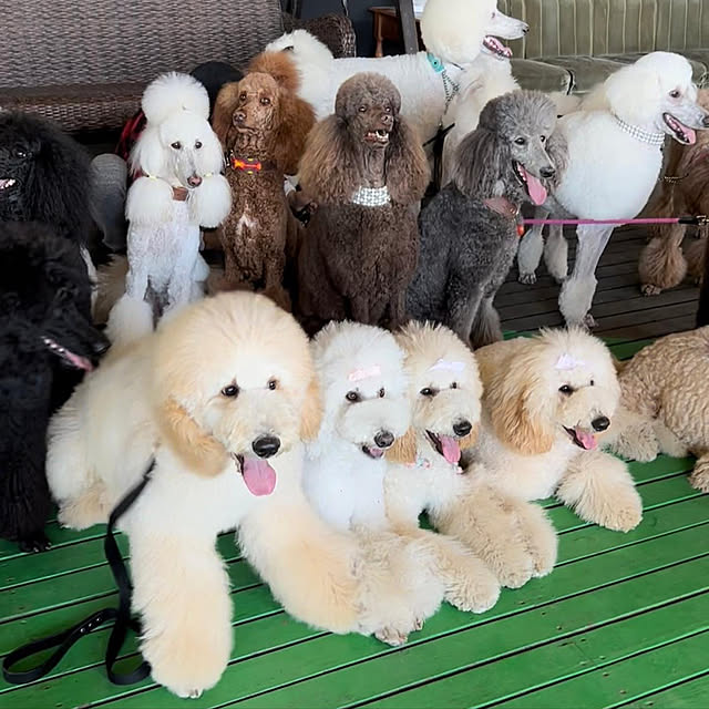 nackeyさんの実例写真