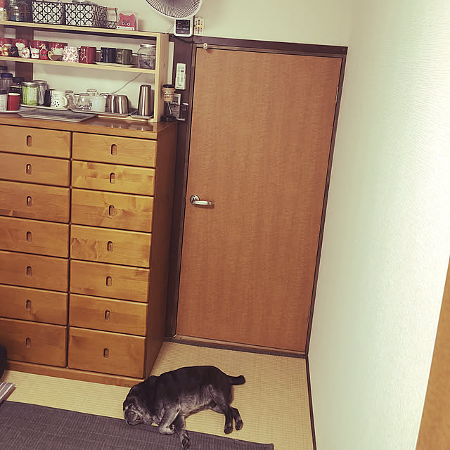 hi-さんの実例写真