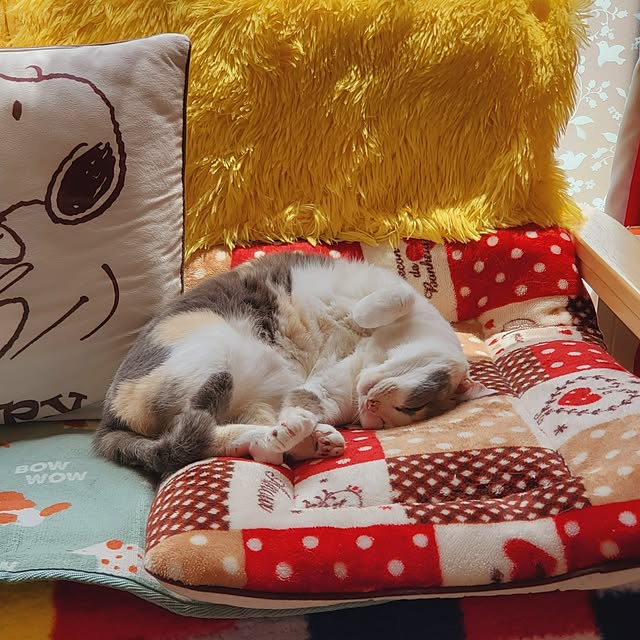 kumutanさんの部屋