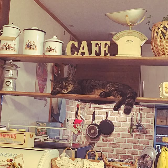 buchikoさんの実例写真