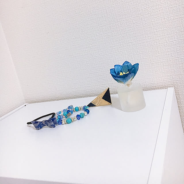 andounatsuさんの実例写真