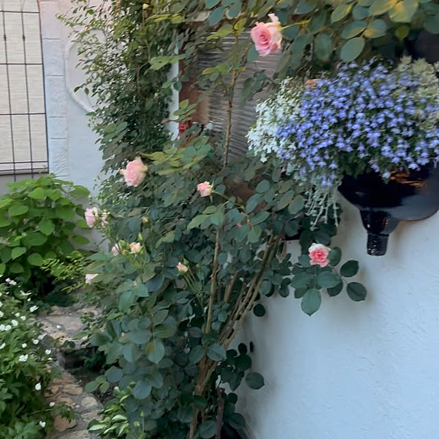 rinrinさんの部屋
