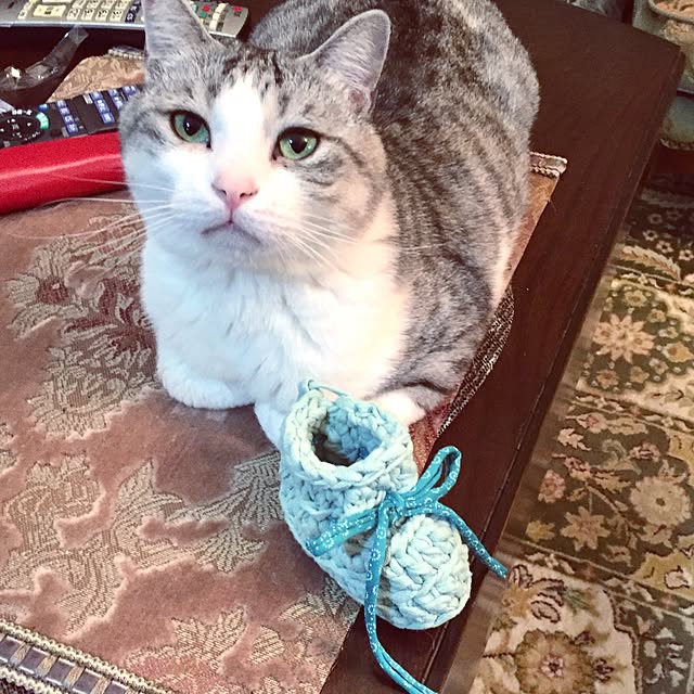 emmyyさんの実例写真