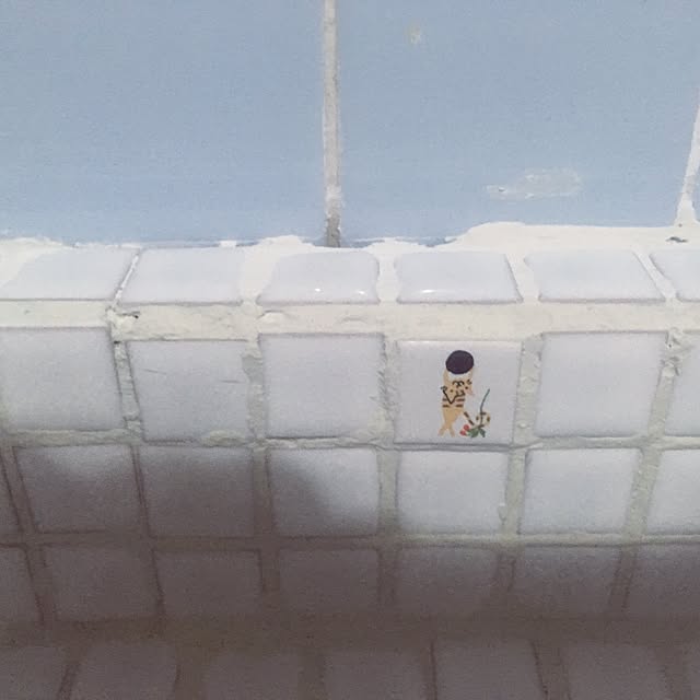 chauさんの実例写真