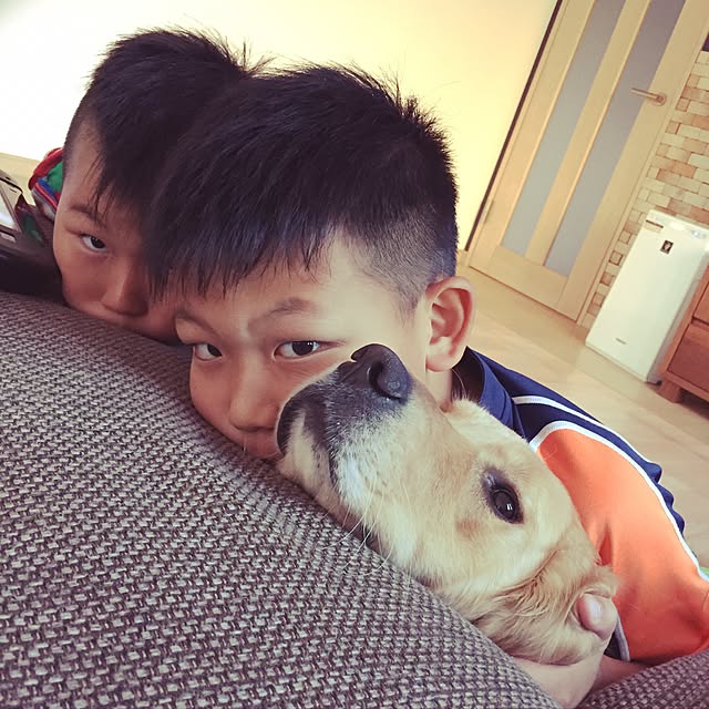 Kazueさんの実例写真
