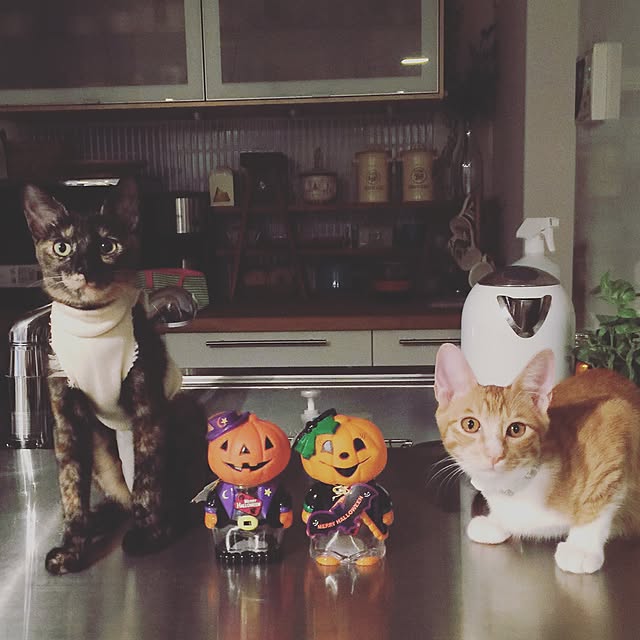 y.さんの実例写真