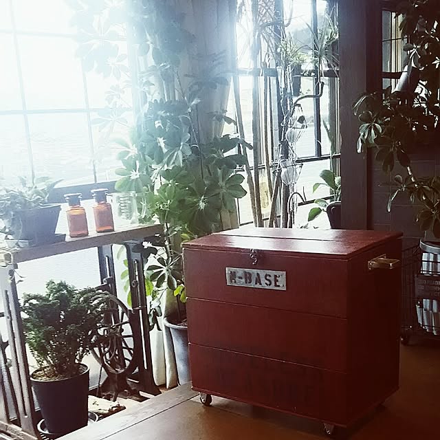 reksさんの実例写真