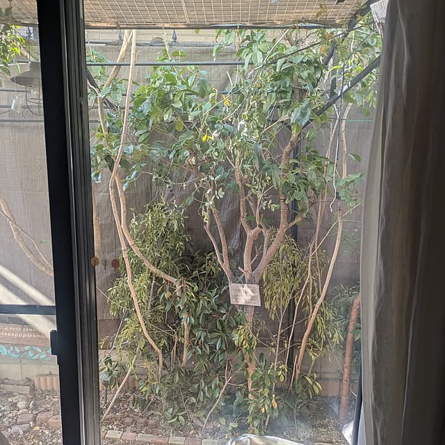 mori_6_12さんの部屋