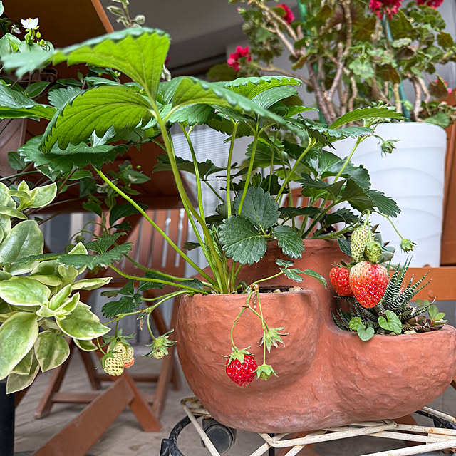 Aqettyさんの実例写真