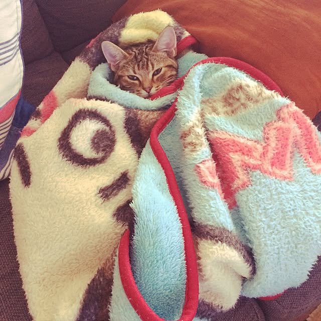 wyさんの実例写真