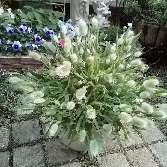 mariagardenさんの実例写真