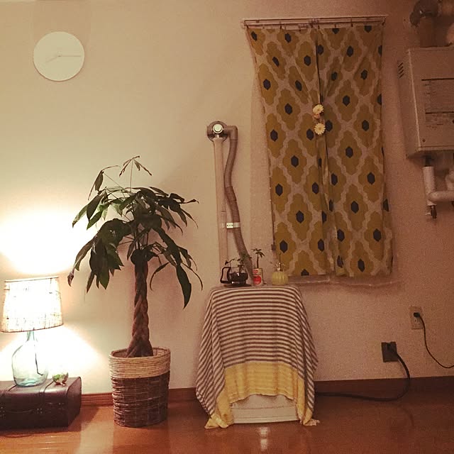 Akariさんの実例写真