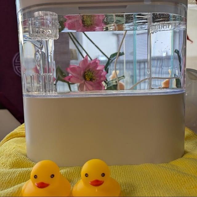 setsukoさんの実例写真
