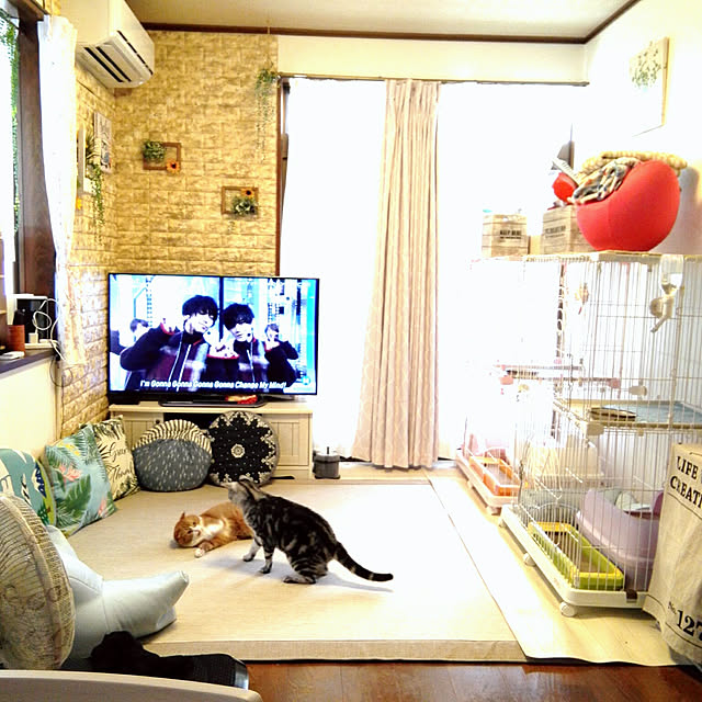 kumingさんの実例写真