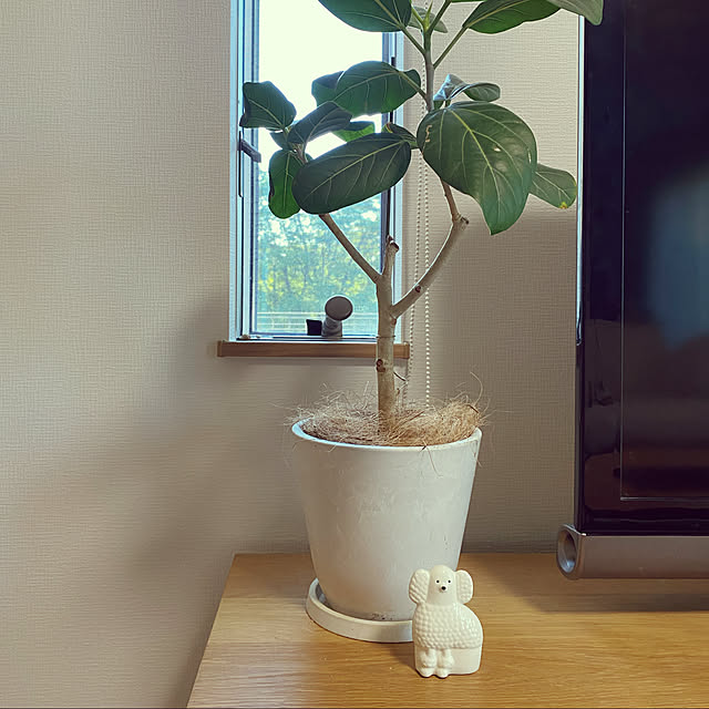 mocoさんの実例写真