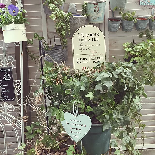 greenroseさんの実例写真