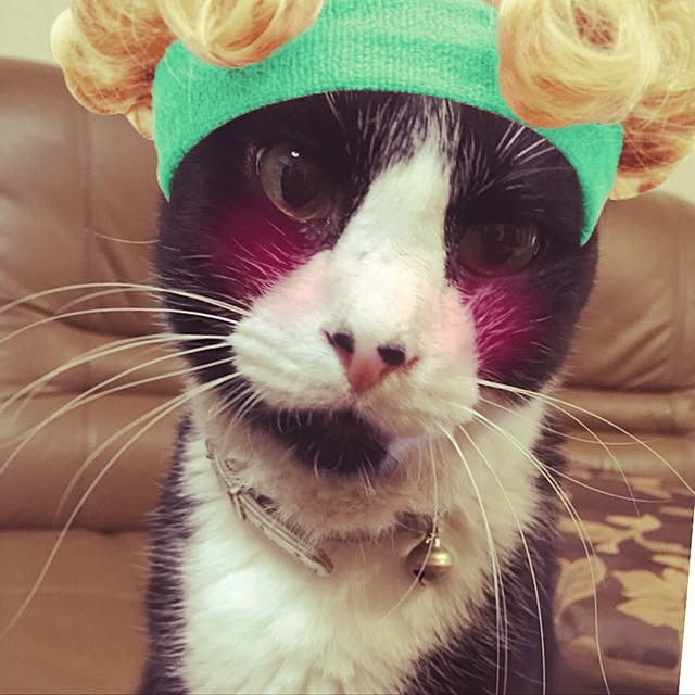 doramiさんの実例写真