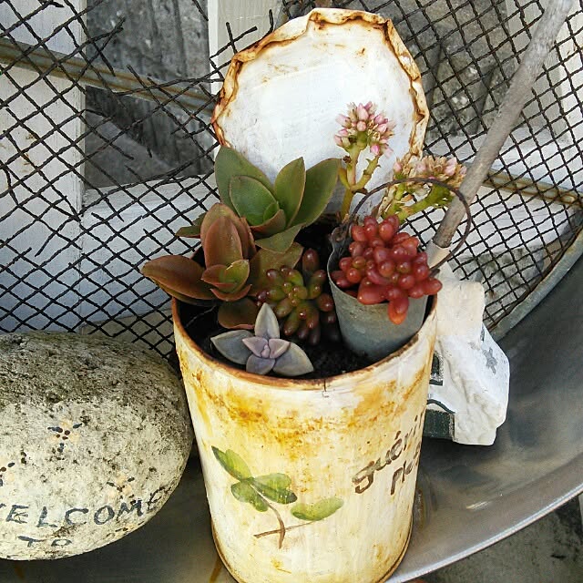 satokotokoさんの実例写真