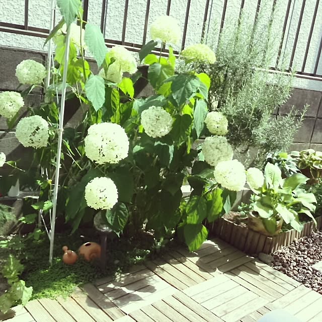 mintさんの実例写真