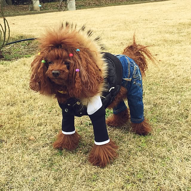 yoshiさんの実例写真