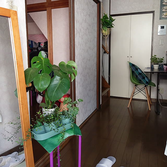 tomomikkさんの実例写真