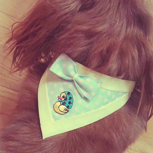 kanchanさんの実例写真