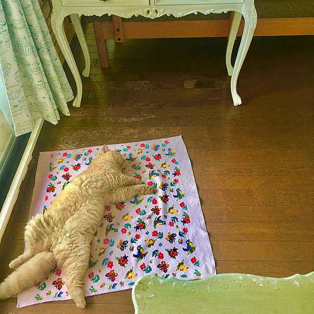 naokoさんの部屋