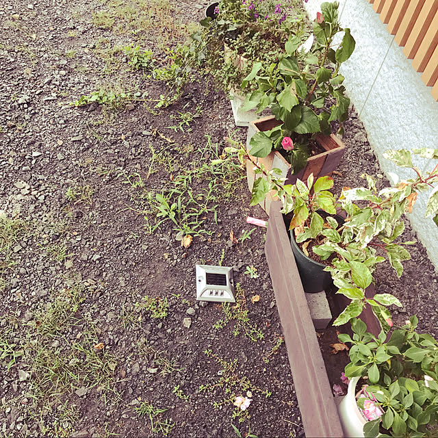 a-house2019さんの実例写真