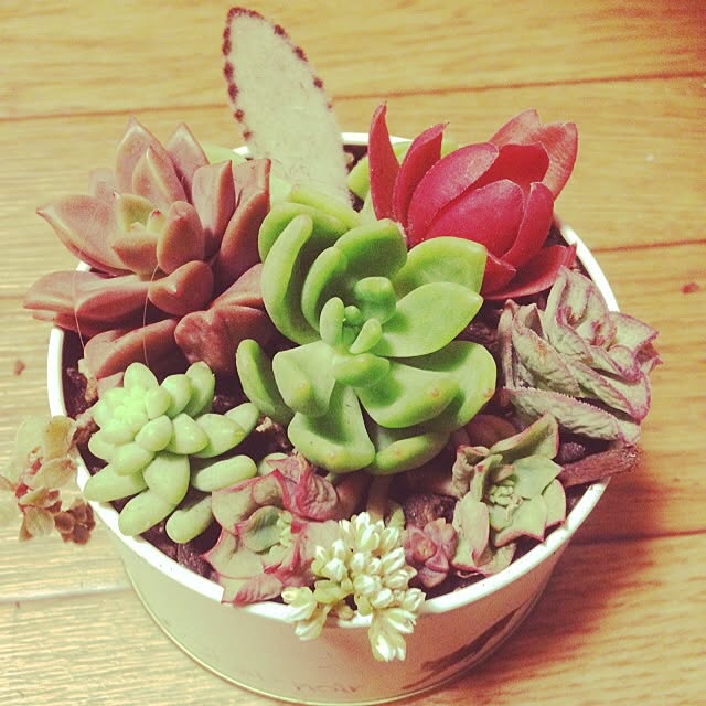 tamさんの実例写真
