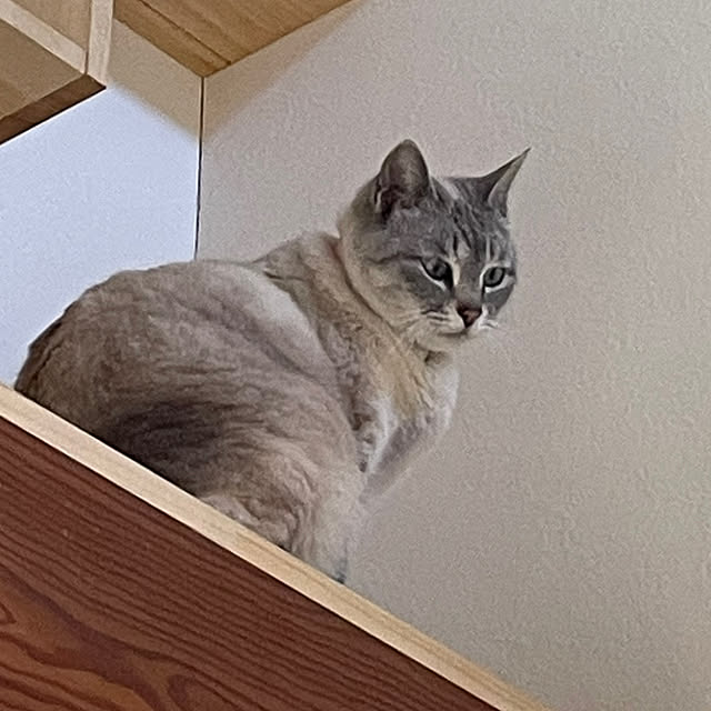 COCOさんの実例写真