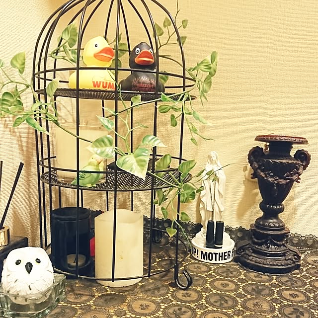 kiyuさんの実例写真