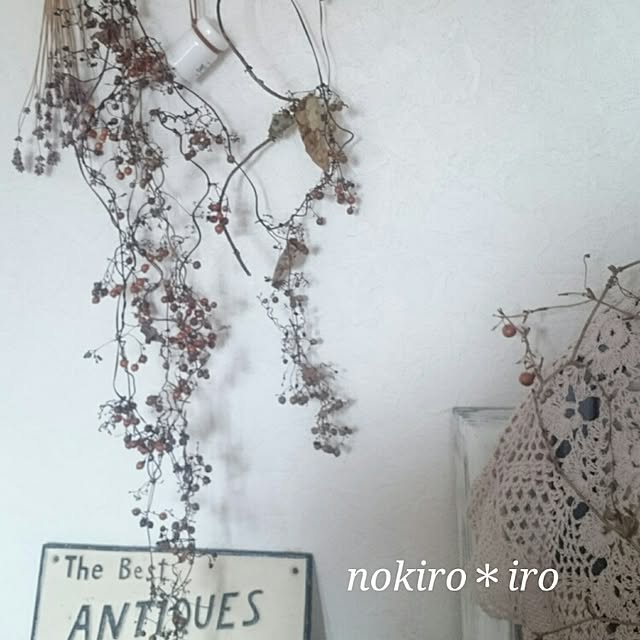 nokiroiroさんの実例写真