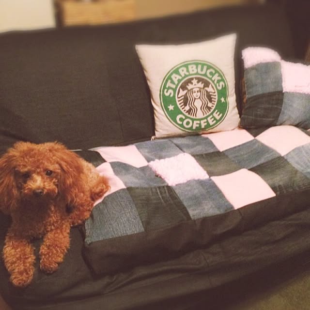 chocolatさんの実例写真