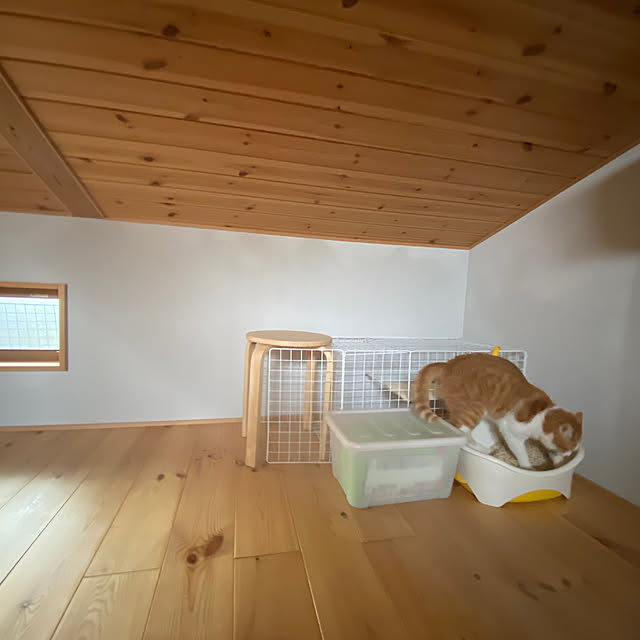 senbei.sakuramochiさんの実例写真