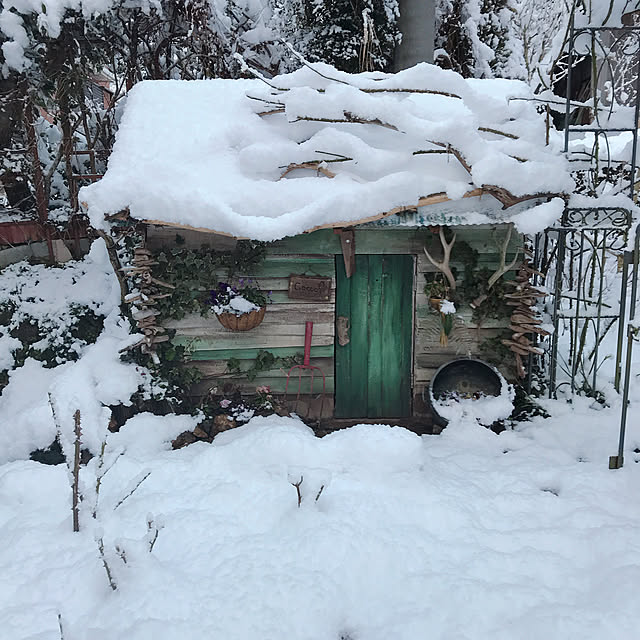 pepeさんの実例写真