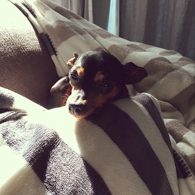l_heureuxさんの実例写真