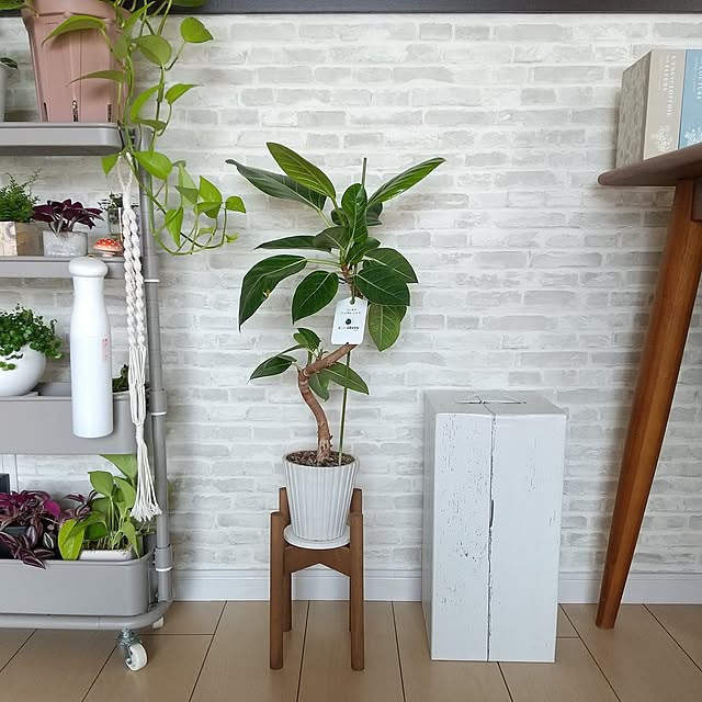 meiさんの部屋