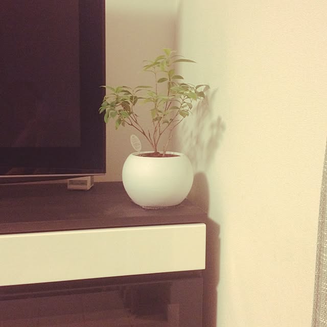 masaさんの実例写真