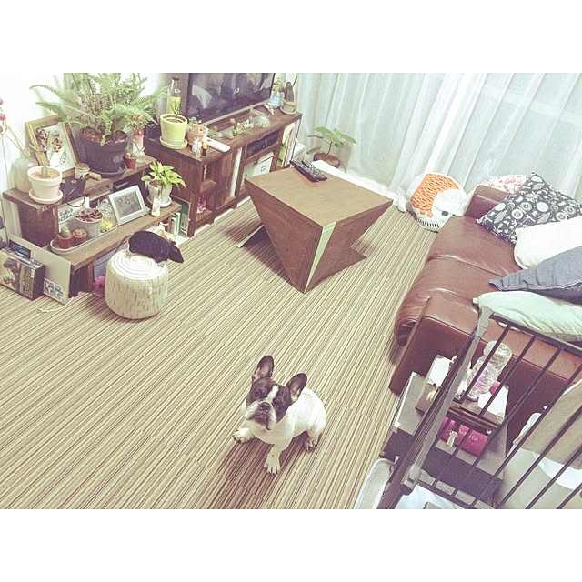 Momocoさんの実例写真
